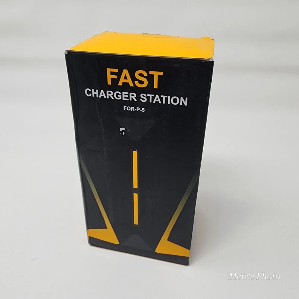 Controller Charger Station for P-5